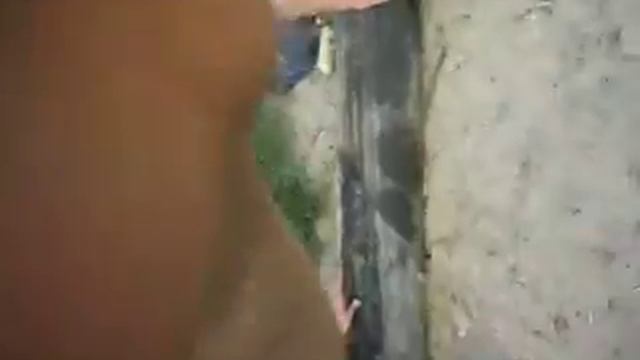 Unkind Revolt 1 смотреть онлайн