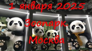 1 января 2025 года в зоопарке. Москва.