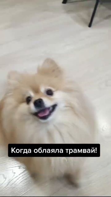 Бася очень смелая!