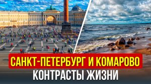 Что выбрать? Оживленный  САНКТ-ПЕТЕРБУРГ или умиротворенное КОМАРОВО? Автопутешествие в Ленобласть.