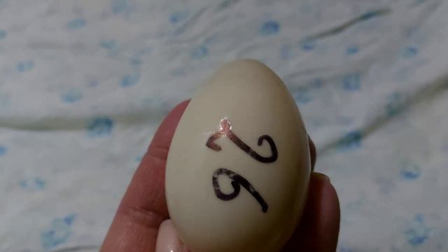 Как подготовить утиное яйцо к инкубации. Моем и дезинфицируем.