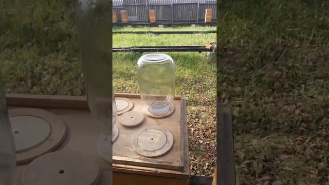 18 декабря 2021 г. смотреть онлайн