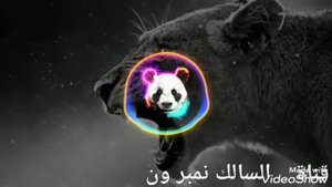 akoa tiger smart remeks