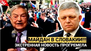 Молния! Майдан в Словакии. Госпереворот против Роберта Фицо.. Гремит весь народ!