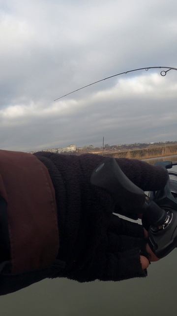 Трофейная рыба 💪💪💪