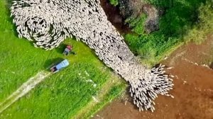 Дрон заснял то, чего никто не должен был увидеть! Кадры не поддающиеся объяснению!