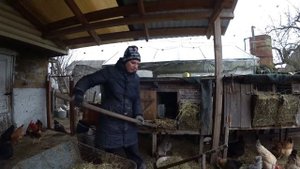 БЕЗОТХОДНОЕ ХОЗЯЙСТВО куда я деваю навоз от кроликов