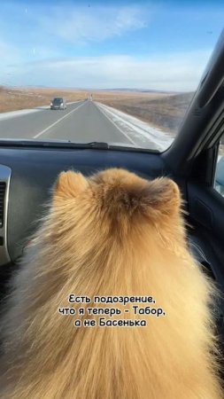 Басенька и её умозаключения!