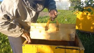 Установка магазина на улей