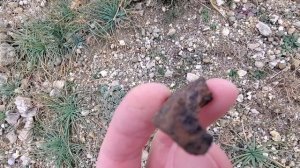 lv_0_20250124223218.mp4