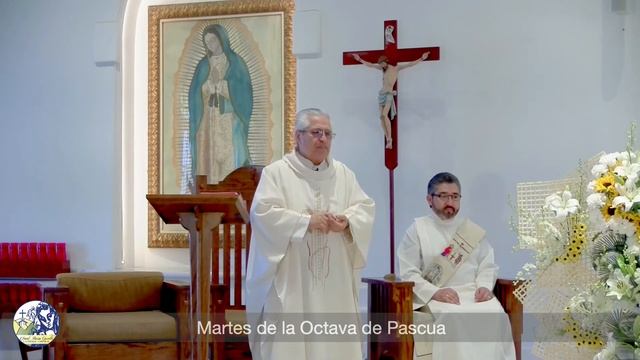 Saint Maria Goretti Spanish Daily Mass - Martes de la Octava de Pascua 4/14/2020 смотреть онлайн