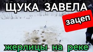 ЩУКА ЗАВЕЛА И ЗАЦЕП. НО МЫ ЕЁ ВЗЯЛИ. БЮДЖЕТНЫЙ ШУРУПОВЁРТ ДЛЯ РЫБАЛКИ. ЖЕРЛИЦЫ НА РЕКЕ