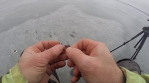 От лунки к лунке. Часть 1 Зимняя рыбалка  на Весёловском Водохранилище. Маныч.