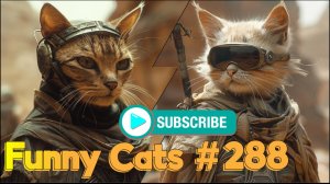 Смешные коты #288