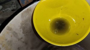 МЕЛЬНИЧНЫЙ АФФИНАЖ К155.  ЧАСТЬ 2 - ЖЕЛТОНОГИЕ