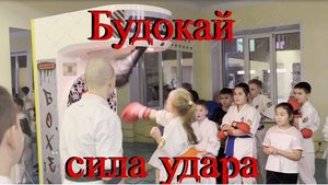 Сборы Сила удара