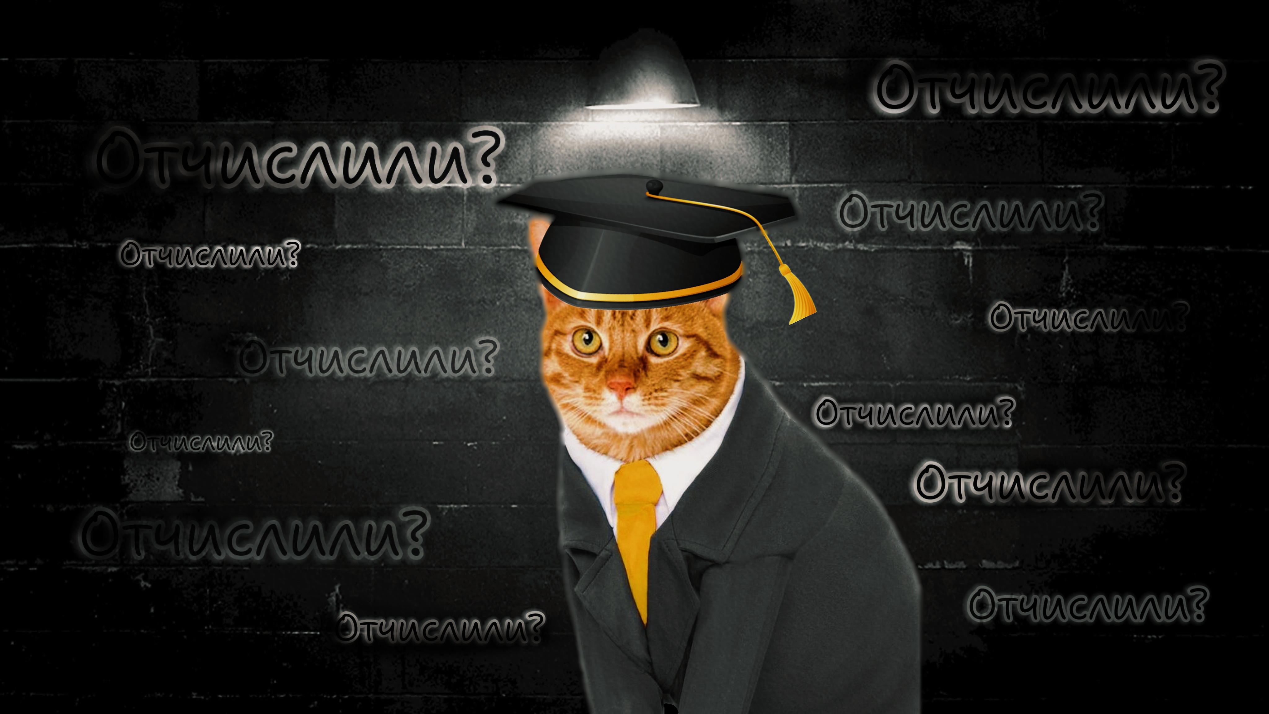 🎩ПУГОДА ОТЧИСЛИЛИ С УНИВЕРА??? PWGood Нарезки