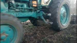 ПОЛЬСКАЯ дисковая борона "Бомет" и ЮМЗ 6 Дискуем целину, ПРОБУЕМ дисковать, работа дисковой борони