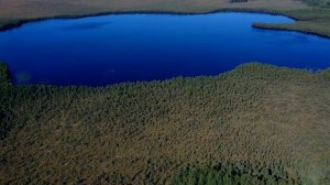 Эпизод 11: Лесное озеро Белое, Тверская область