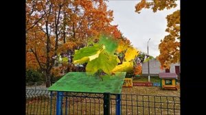 Клены выкрасили город