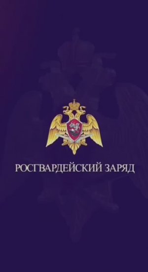 #РосгвардейскийЗаряд | Офицер СОБР «Берсерк» Управления Росгвардии по Республике Марий Эл