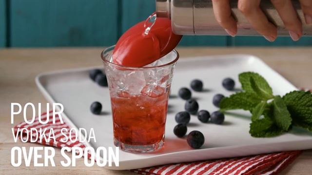 How To Make A Citrus Spangled Spritzer - TheCocktailProject.com