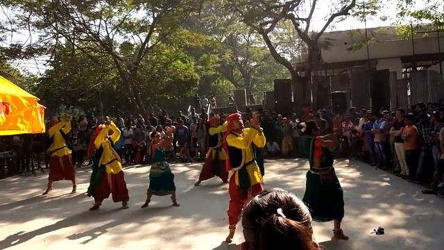 Mood Indigo'16 IIT Bombay || Nrityam NIT Raipur || CG folk || mahua jhare, hamar para смотреть онлайн