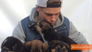 US Olympians are Saving Sochi Stray Animals and it's Awesome