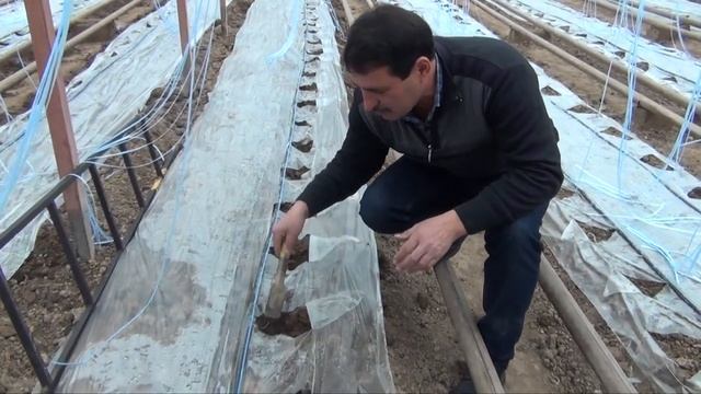 МУЛЬЧА (Часть 2) смотреть онлайн