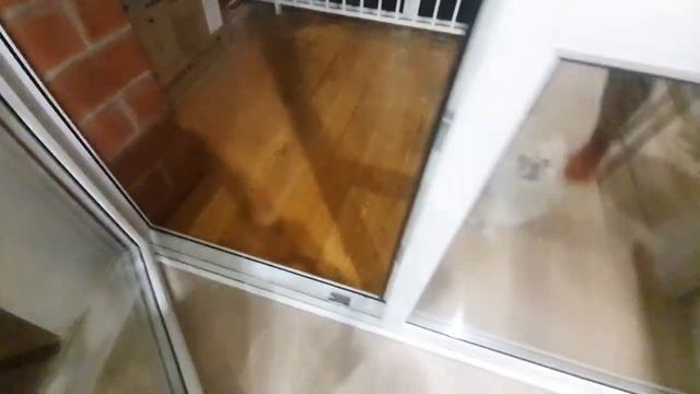 У Баси и Рыси все опасности под контролем!