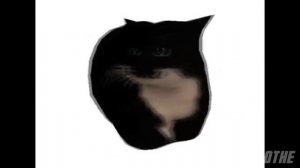 maxwell the cat spinning to geometry dash practice song