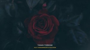 Hajy Yazmammedow & Aydayozun - ÝANAN ÝÜREGIM || 2024 (Official)