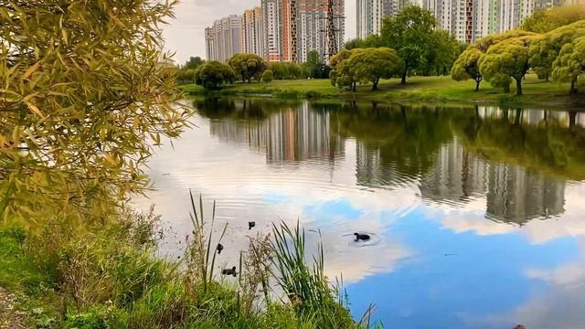 Осенняя пора очей очарование так прекрасно и красиво смотреть онлайн