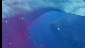 блуп против ель гран мая