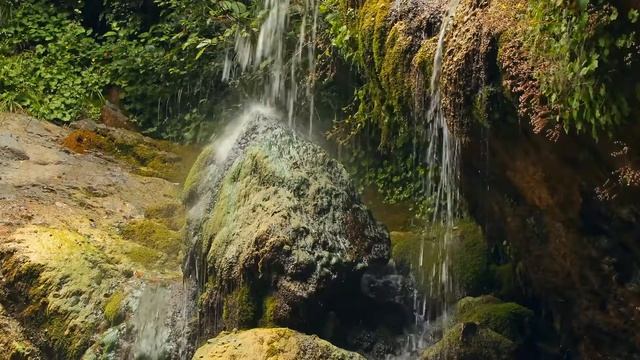 Flowing Forest Spring 4K ELEMENTS Fine Art Static Ambiance Video by Nature Relaxation HDR смотреть онлайн