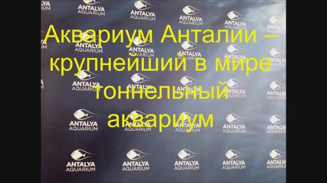 Аквариум, Океанариум Анталия (Antalya Aquarium), сентябрь 2020. смотреть онлайн