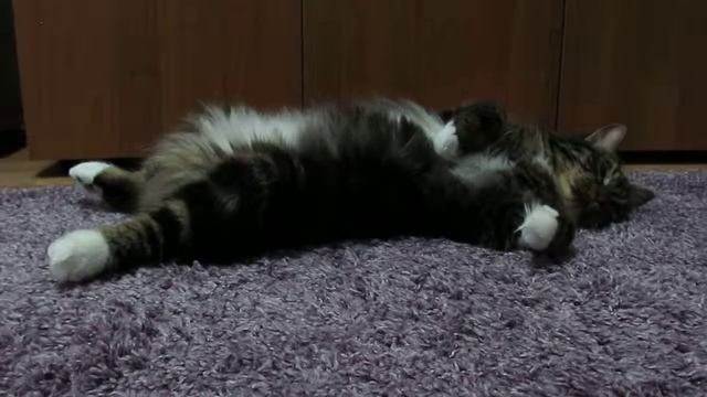 Релакс смотреть онлайн