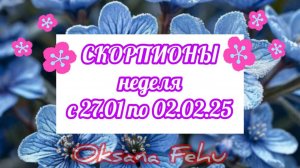 СКОРПИОНЫ. Неделя 27 января - 02 февраля.