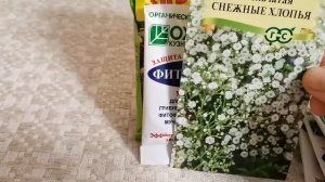Покупка семян.Подкормка для корневой системы