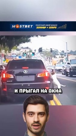 Эту собачку тут же усыновили 🤩 #shorts