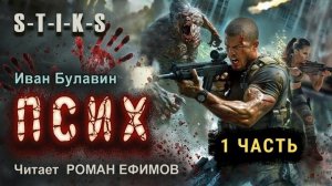 S-T-I-K-S Псих (аудиокнига). Часть 1. БОЕВАЯ ФАНТАСТИКА. Иван Булавин. Читает Роман Ефимов.