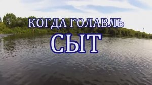 Когда Голавль Сыт - НААШИ Ловят!