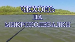 Чехонь на микроколебалки