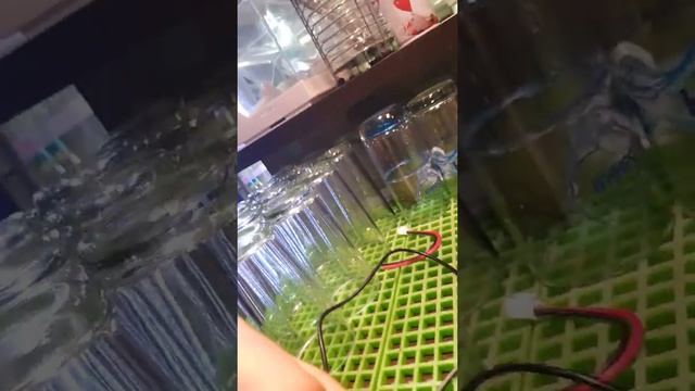 AliExpress 0.28" Voltage and current LED display test. смотреть онлайн