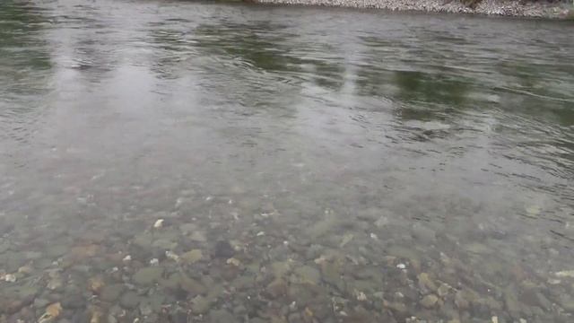 Сплав 2023(Выходной-отсыпной, стапель) смотреть онлайн