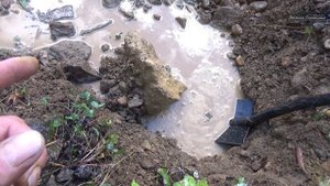 Каменная река (перезагрузка)