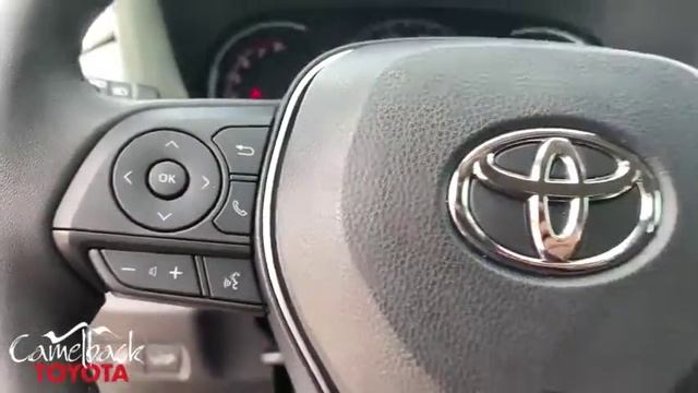 2019 Toyota RAV4 Phoenix, Peoria, Scottsdale, Glendale, Avondale, AZ 43638