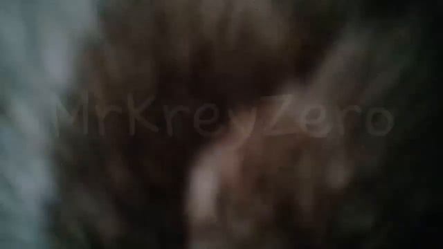 БИЛАЙН Гиги за Сон теперь в альбоме 😱 смотреть онлайн