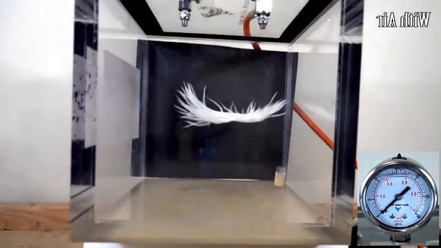 IF YOU DROP A FEATHER AND A METAL CUBE IN A VACUUM CHAMBER WILL THEY HIT AT THE SAME TIME
