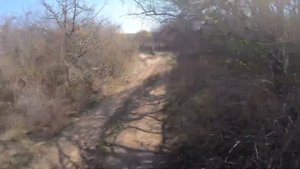 Крым. с. Межгорье (Баксан)